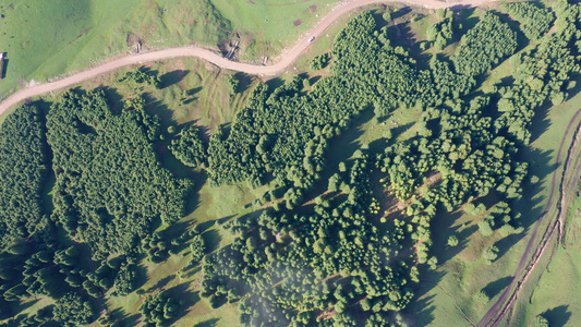 4K航拍新疆天山山脉原始森林风光旅游视频