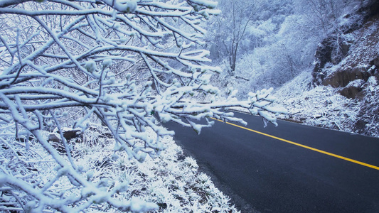 4K冬天雪花雾凇道路空镜实拍视频视频