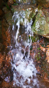 实拍山间水流视频