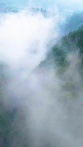 航拍阿依河河谷峡谷云雾缭绕绿水青山5A景区视频