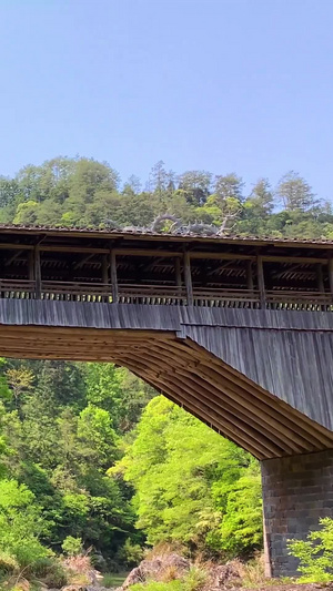 5A景区福建白水洋景区双龙桥视频合集旅游景区60秒视频