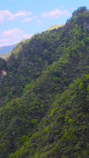 神农架关门山5A风景区航拍环绕世界遗产28秒视频