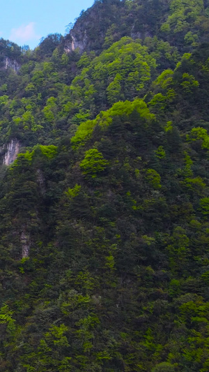 神农架关门山5A风景区航拍环绕世界遗产28秒视频