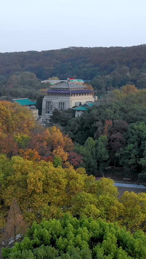 航拍武汉大学自然风光航拍中国19秒视频