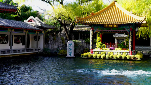 济南市趵突泉景区游客旅游视角实拍山东济南旅游景区景点出行高清4K视频视频