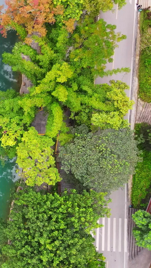 鸟瞰荔波小七孔桥荔波樟江景区21秒视频