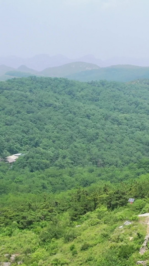 夏季自然风光山顶的古塔航拍视频5A景点51秒视频