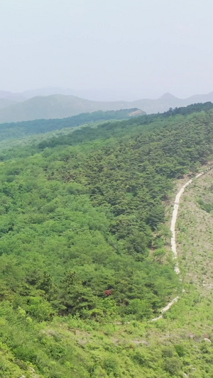 夏季自然风光山顶的古塔航拍视频5A景点51秒视频