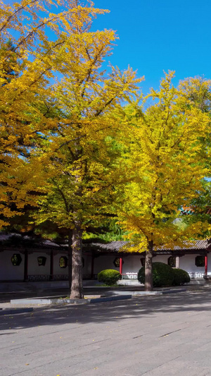 太原市晋祠公园大门延时网红地点15秒视频