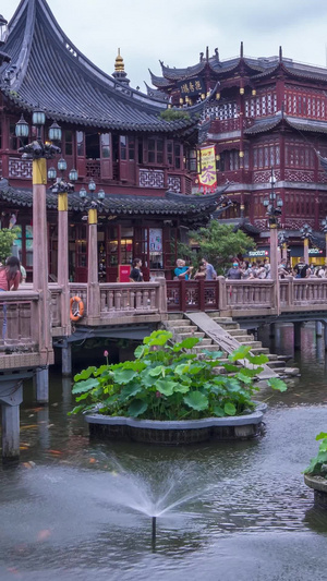 延时上海豫园公园河池4A景点22秒视频
