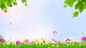 4K春天唯美春季花朵清新动态背景视频40秒视频