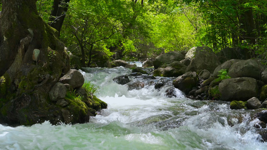 4K山涧溪流动态素材[涧水]视频