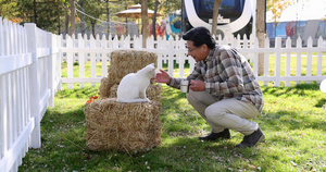 一个老年男人蹲在院子里和猫玩耍6秒视频