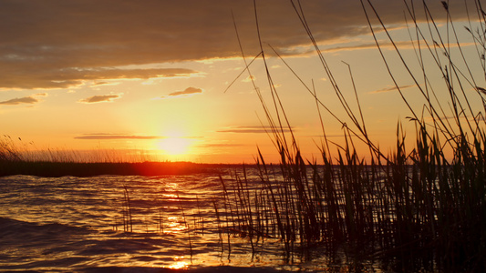 日落海滩水地平线在美丽的自然景观中闪耀着金色阳光视频