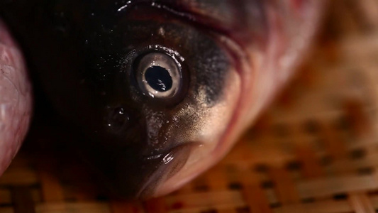 鱼鳃鱼眼睛鱼头特写视频