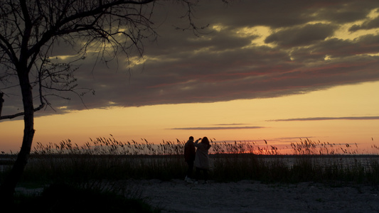 一对夫妇在日落海滩漫步在自然海岸线景观上共度时光视频