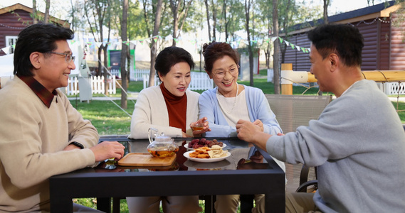 中老年人在露营地喝茶聊天视频