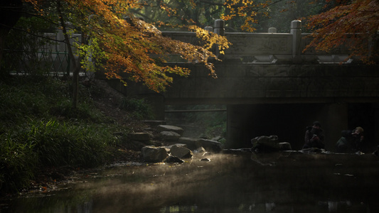 秋天早晨的杭州九溪金黄枫叶与飘着雾气的小溪视频