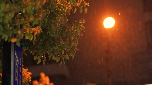 升格特写暴雨路灯下的雨视频