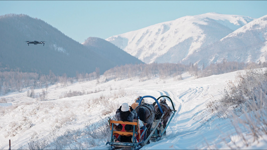 4K新疆雪地马拉着人滑雪视频