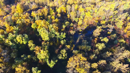 根河源国家湿地公园河流密布色彩斑斓视频