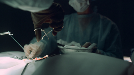 手术室里外科医生手缝合病人特写视频