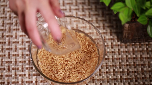 浸泡高粱燕麦制作粗粮饭 视频