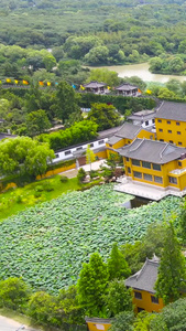 扬州瘦西湖地标观音山观音禅寺江苏旅游视频