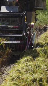 实拍收割机收割水稻视频素材视频