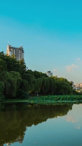 武汉月湖延时视频城市绿肺视频