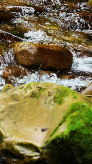 慢镜头升格拍摄湖南5A级旅游景区张家界金鞭溪流水素材旅游素材67秒视频