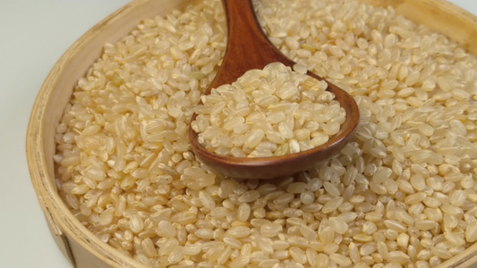 糙米大米粮食[糙米饭]视频
