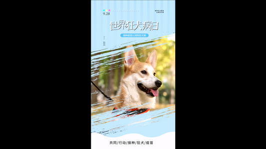 简洁动感世界狂犬病日海报AE模板视频