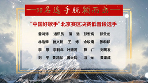 简洁大气优秀人物获奖名单模板9秒视频