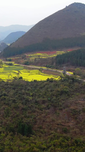 航拍云南罗平春季油菜花与九龙瀑布群4A风景去自然风光视频旅游度假84秒视频