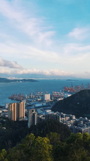 沿海城市港口风光延时竖屏竖版本视频15秒视频