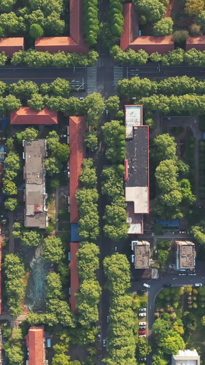 航拍武汉青山区拆迁的武钢宿舍苏联式红房子街区素材航拍夜景40秒视频
