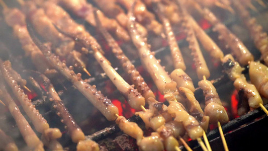 户外炭火烤肉烧烤美食制作实拍视频视频