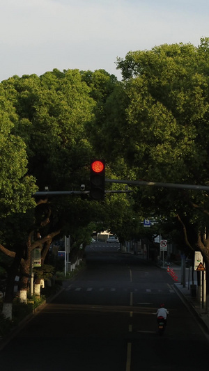 宁波城市街道骑车的人13秒视频