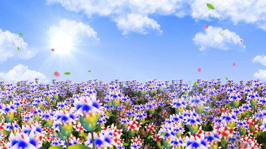 4K春天鲜花穿梭背景素材视频