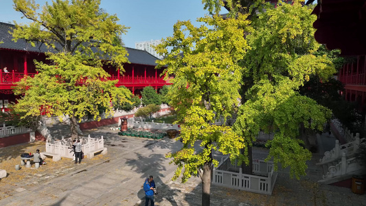 航拍秋日里的南京毗卢寺风光视频