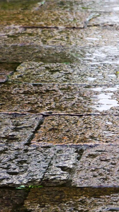 下雨天的石板路视频