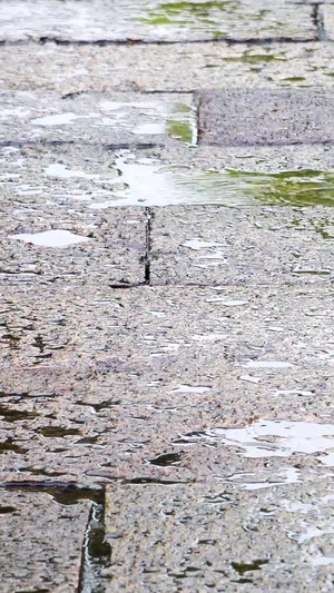 下雨天的石板路31秒视频