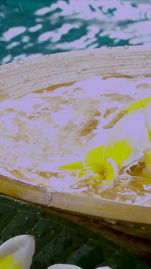 休闲度假 鸡蛋花 实拍水滴在花中101秒视频