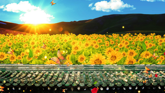 4K唯美的向日葵背景素材视频