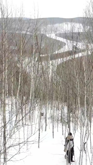 航拍黑龙江大兴安岭雪地10秒视频