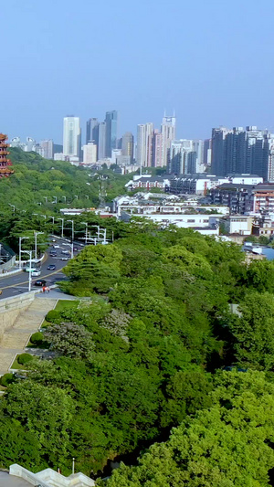 航拍黄鹤楼和武汉长江大桥引桥交通46秒视频