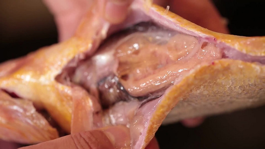 黄花鱼处理内脏视频