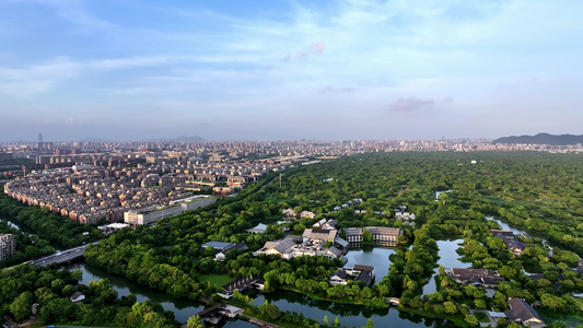 夏天黄昏的杭州西溪湿地美景视频