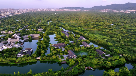 夏天黄昏的杭州西溪湿地美景视频